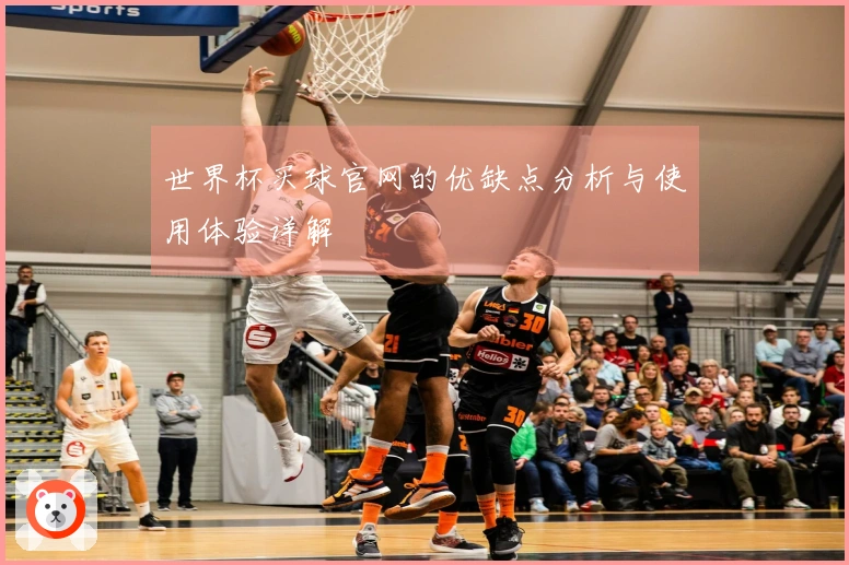 世界杯买球官网的优缺点分析与使用体验详解