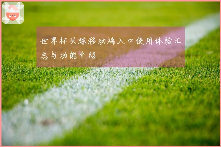 世界杯买球移动端入口使用体验汇总与功能介绍