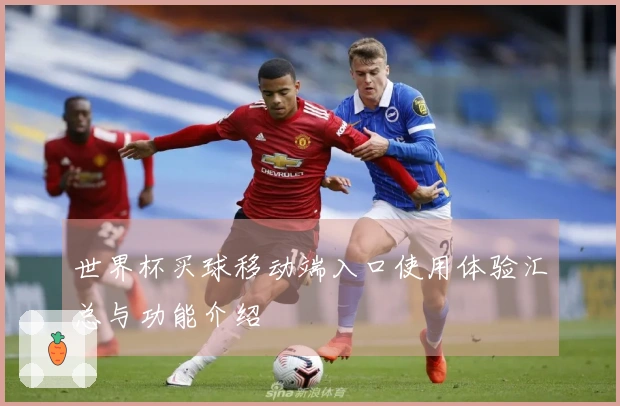 世界杯买球移动端入口使用体验汇总与功能介绍