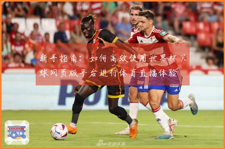 新手指南：如何高效使用世界杯买球网页版平台进行体育直播体验