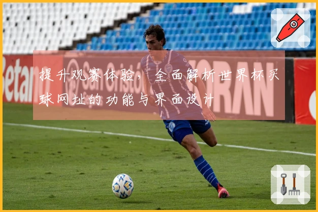 提升观赛体验，全面解析世界杯买球网址的功能与界面设计