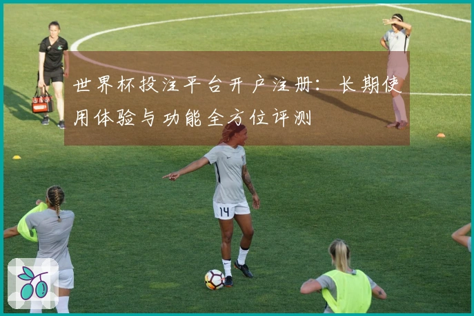 世界杯投注平台开户注册：长期使用体验与功能全方位评测