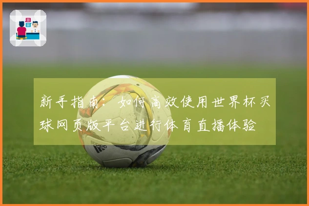 新手指南：如何高效使用世界杯买球网页版平台进行体育直播体验