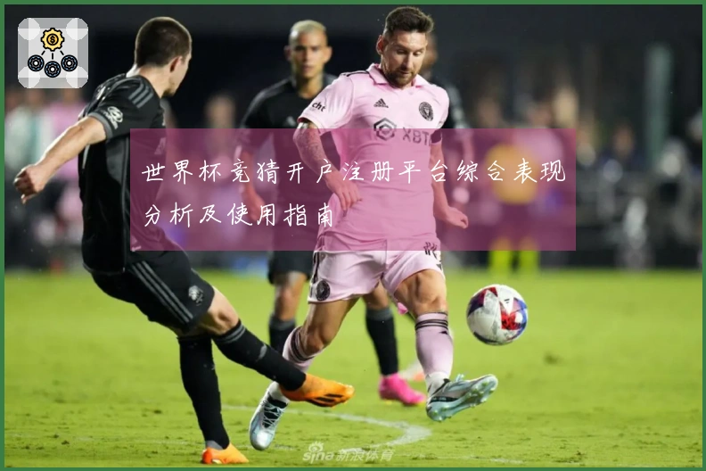 世界杯竞猜开户注册平台综合表现分析及使用指南