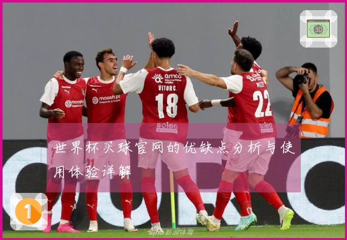 世界杯买球官网的优缺点分析与使用体验详解