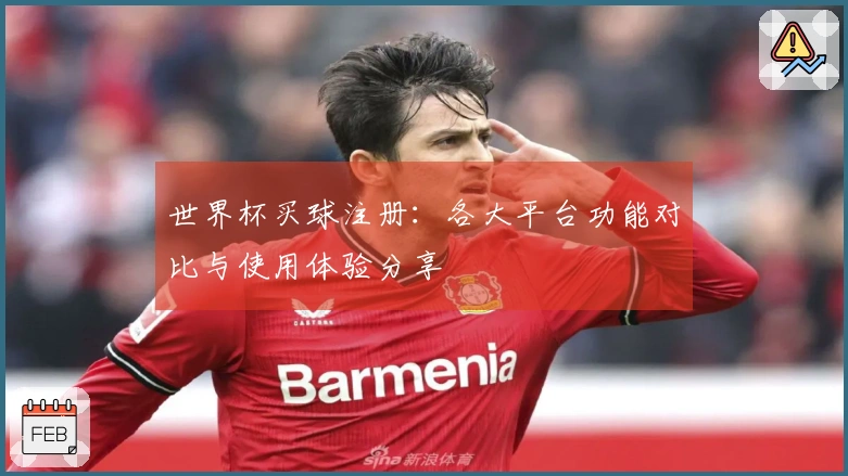 世界杯买球注册：各大平台功能对比与使用体验分享